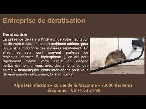 Comment réussir sa dératisation à Annecy ?